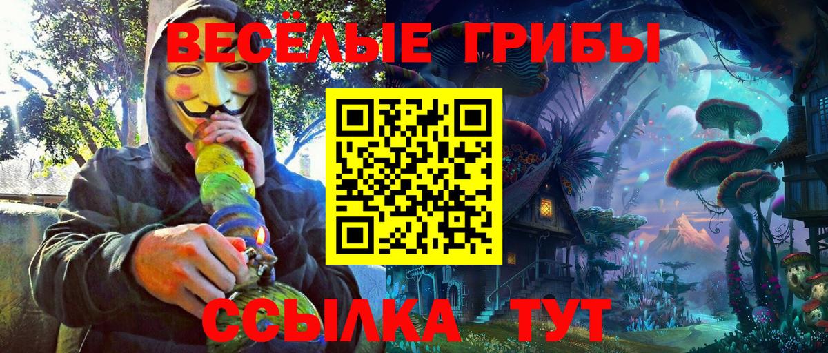Мичуринск  Галлюциногенные грибы Cubensis  цены наркотик  Вход с VPN 